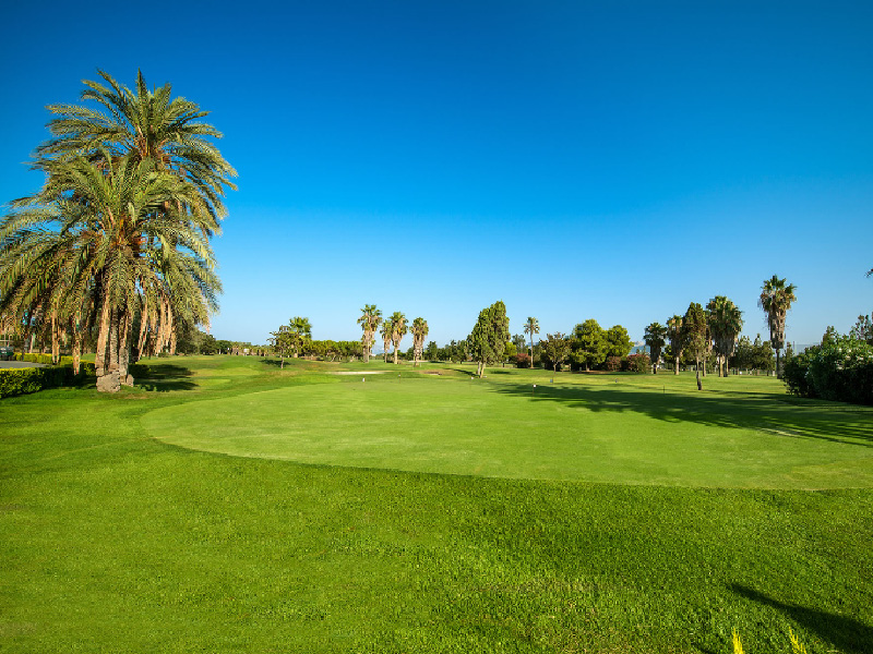 campo de golf oliva nova. mejores campo de golf de españa en valencia y alicante